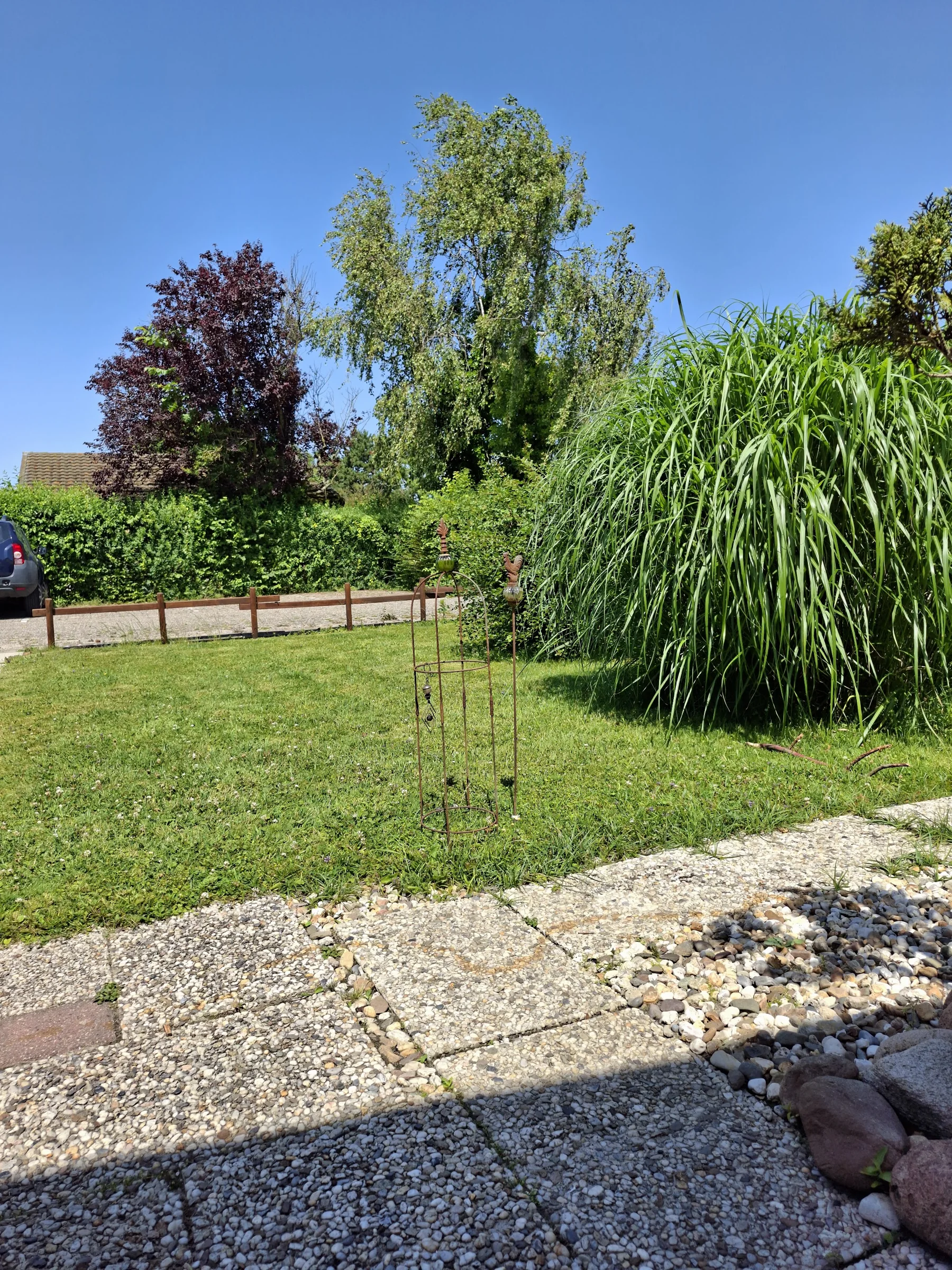 Het terras en de groene tuin van DuinDromen